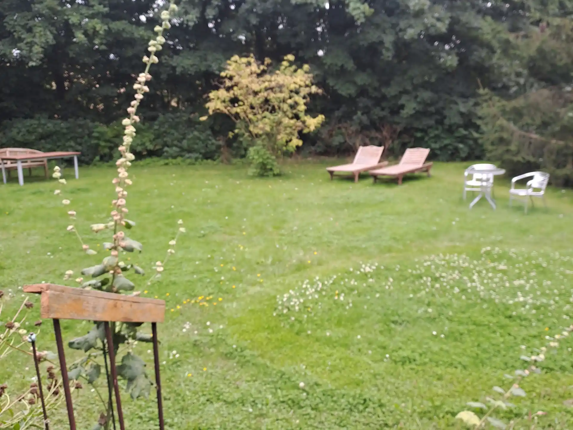 Have ved Damager sommerhus