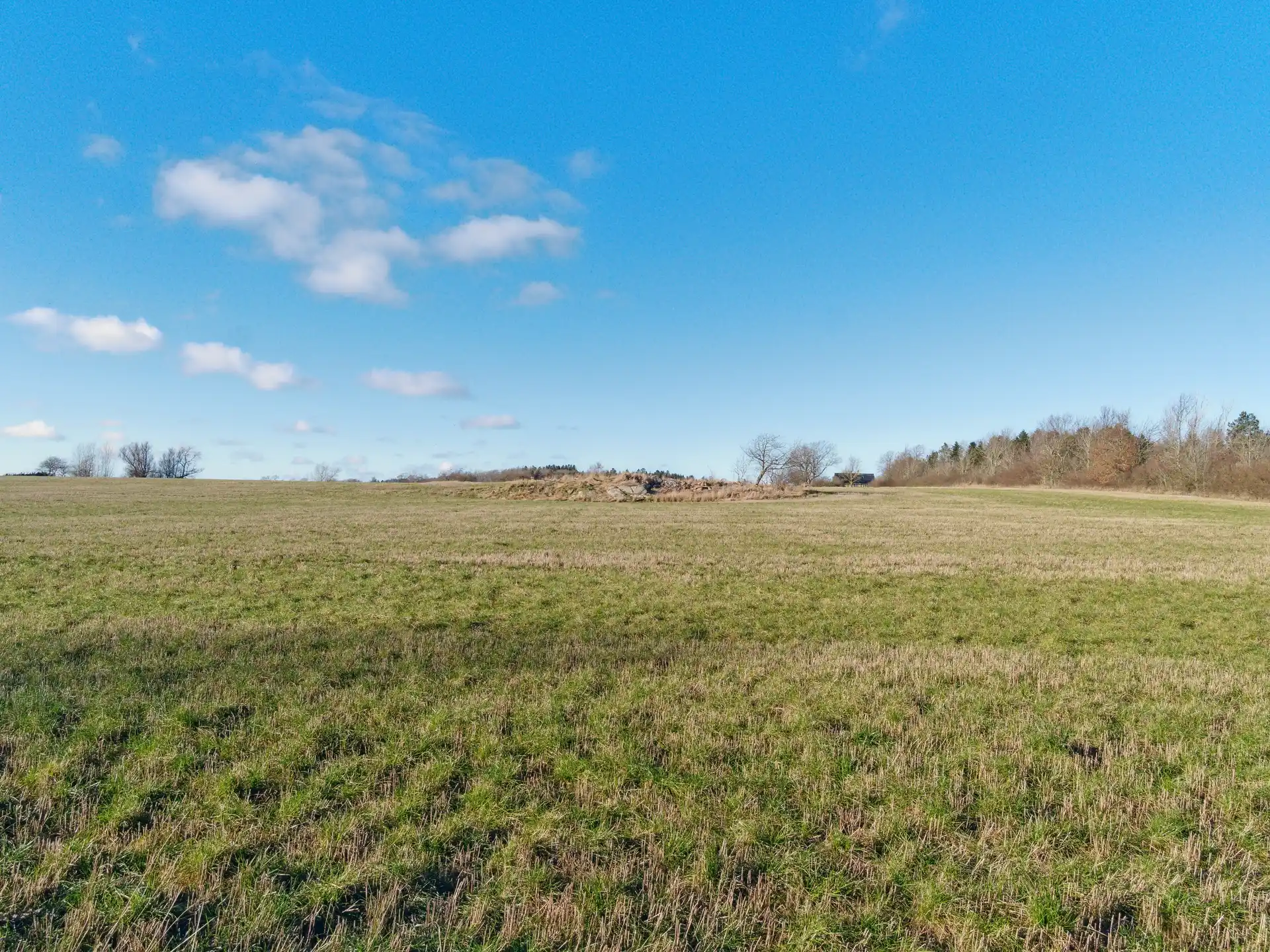 Mark ved Damager Sommerhus